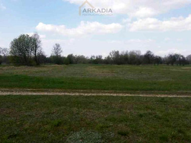 Działka inna Goławice Pierwsze