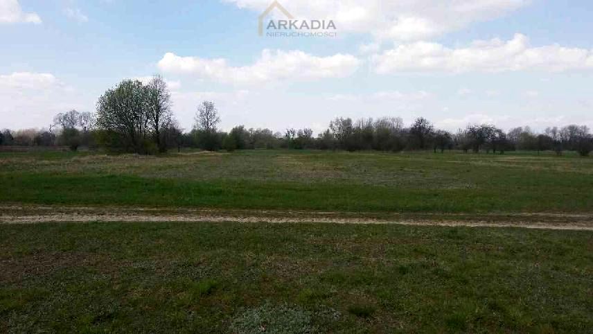 Działka inna Goławice Pierwsze