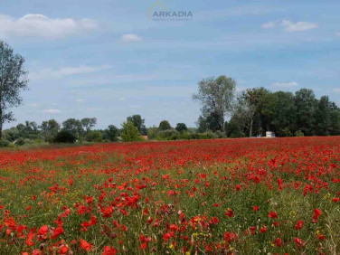 Działka inna sprzedam