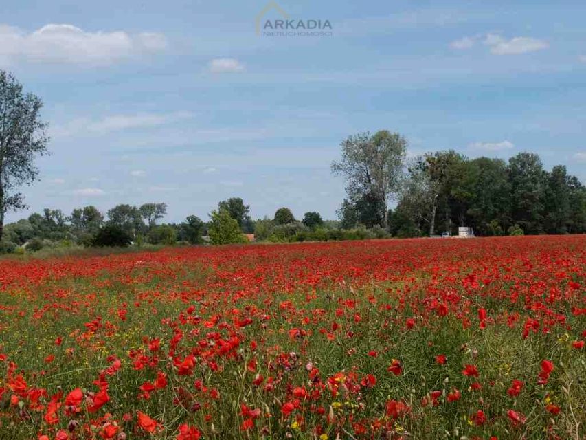 Działka inna sprzedam
