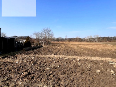 Działka budowlana Chełmno