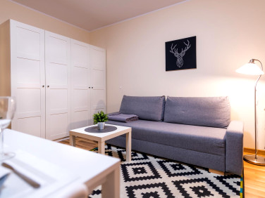 Mieszkanie Poznań wynajem