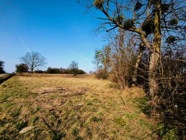 Działka budowlana Piskorzyna sprzedam