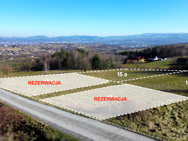 Działka Trzetrzewina