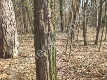 Działka budowlana Milanówek