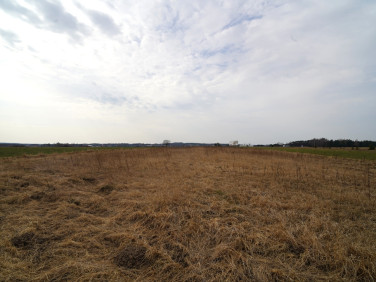 Działka rolna Dąbrowice Częściowe