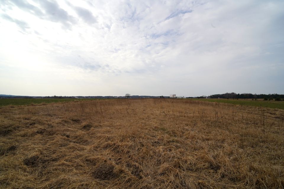 Działka rolna Dąbrowice Częściowe