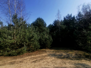 Działka budowlana Gorzewo-Kolonia