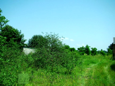 Działka budowlana Długa Szlachecka