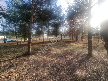 Działka budowlana Rozalin