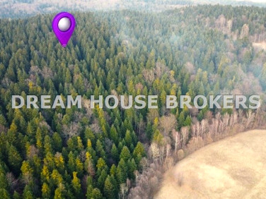 Działka leśna Kobylany