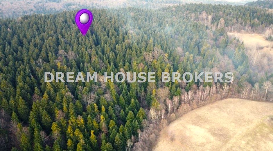 Działka leśna Kobylany