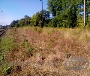 Działka usługowa Rąbino