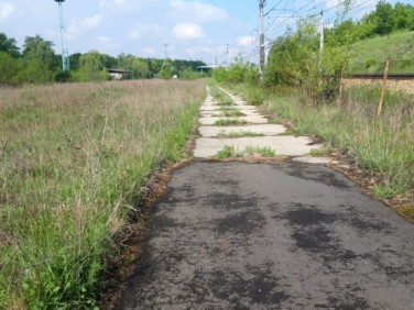 Działka usługowa Legnica