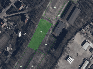 Działka Złoty Stok