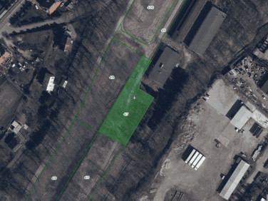 Działka Złoty Stok