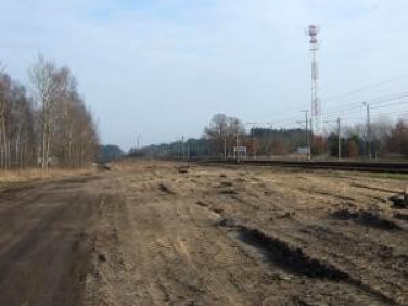 Działka inwestycyjna Reptowo