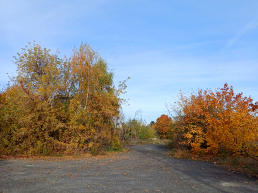 Działka budowlana Legnica