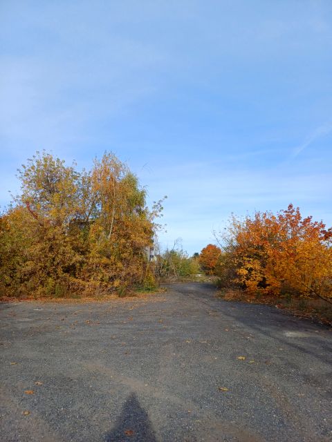 Działka budowlana Legnica