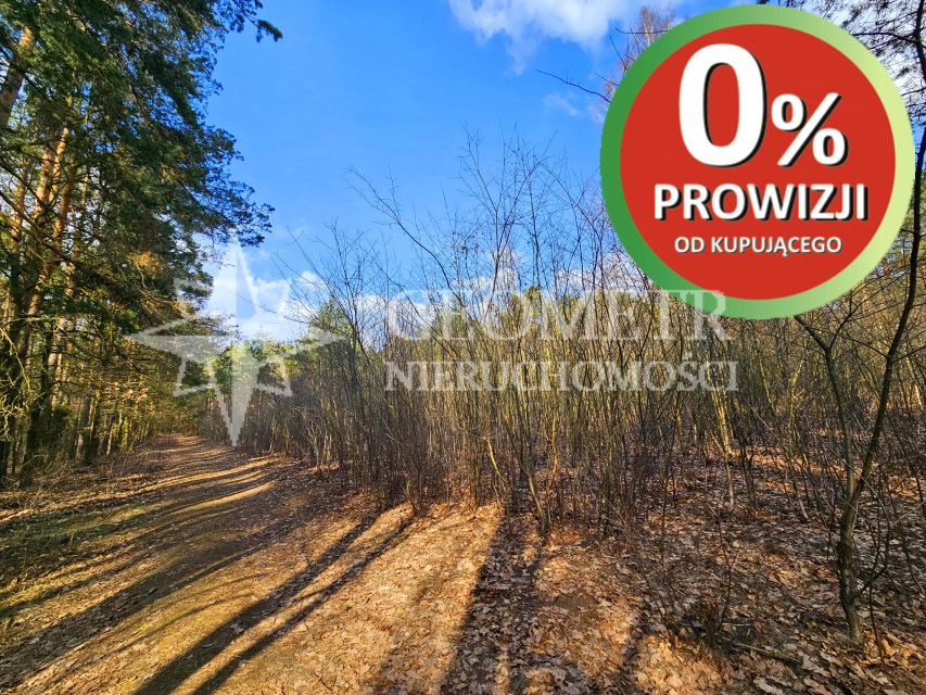 Działka Dąbrowa Chotomowska