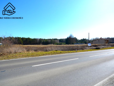 Działka Głusko Duże-Kolonia
