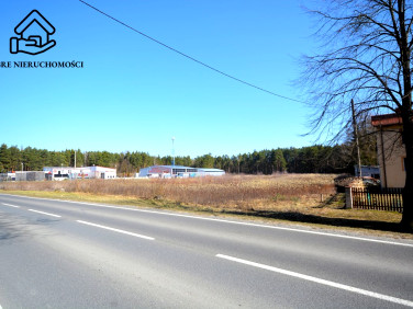 Działka Głusko Duże-Kolonia