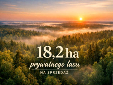 Działka leśna Borkowo Kościelne