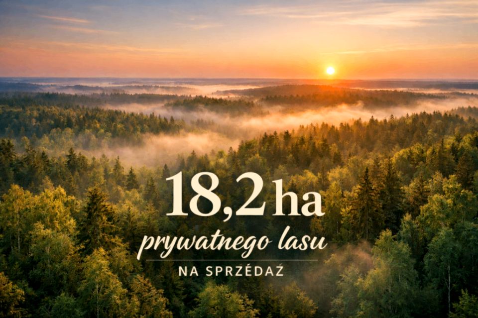 Działka leśna Borkowo Kościelne