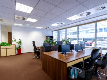 Lokal Warszawa wynajem