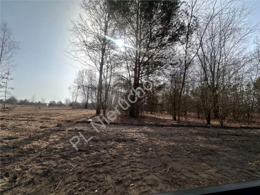 Działka budowlana Terenia