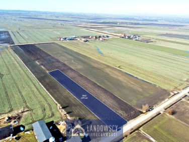 Działka siedliskowa Tczewskie Łąki