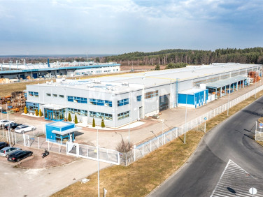 Budynek użytkowy Wykroty