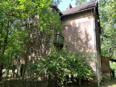 Działka inna Lwowiany