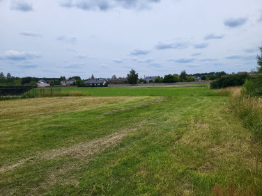 Działka Przygodzice