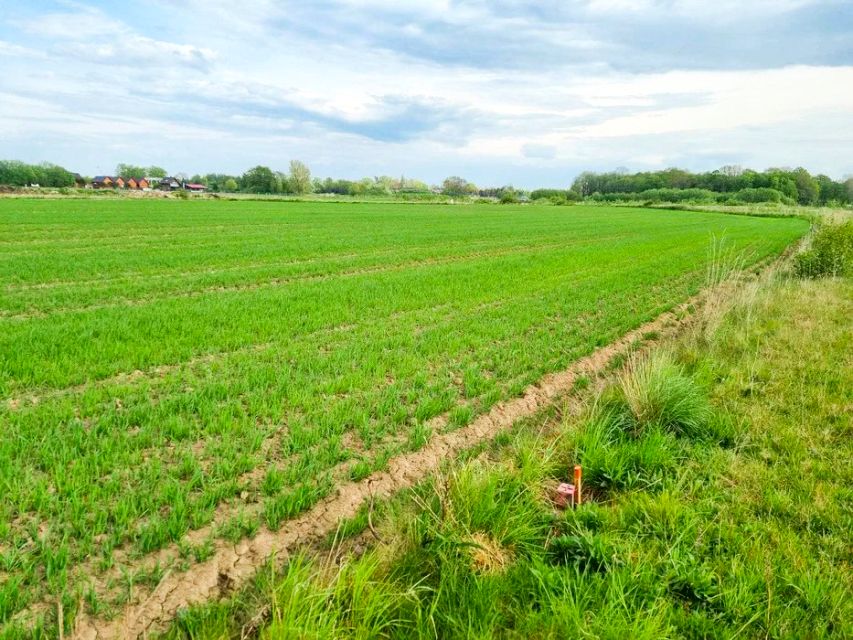 Działka budowlana Łącko sprzedam