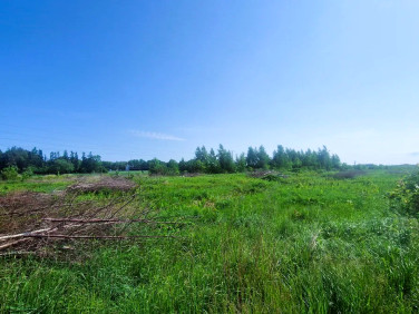 Działka budowlana Frombork