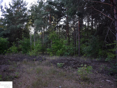 Działka rekreacyjna Wola Rasztowska