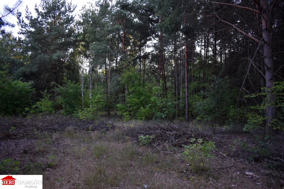 Działka rekreacyjna Wola Rasztowska