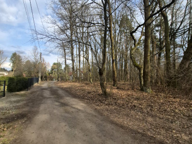 Działka leśna sprzedam