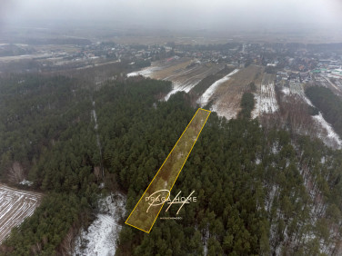 Działka leśna Wyśmierzyce sprzedam