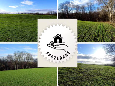 Działka Gościno-Dwór