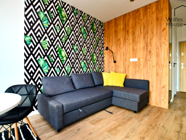 Mieszkanie apartamentowiec wynajem