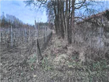 Działka inna Szczęsna