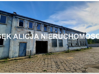 Działka inwestycyjna Świdnica