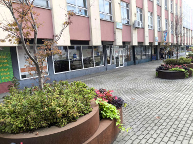 Lokal Kędzierzyn-Koźle