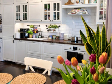 Mieszkanie Skierniewice