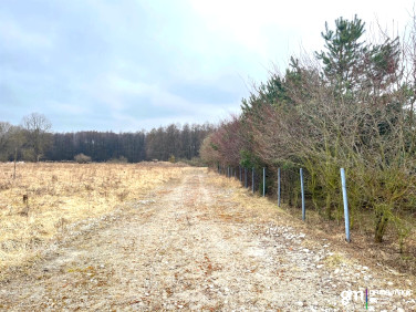 Działka Zamek Bierzgłowski