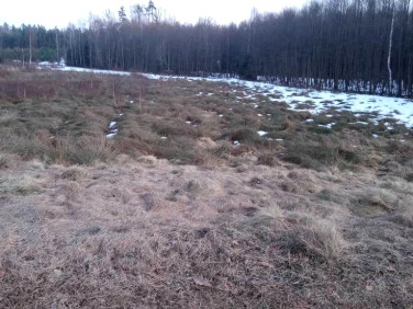 Działka budowlana Dziechno