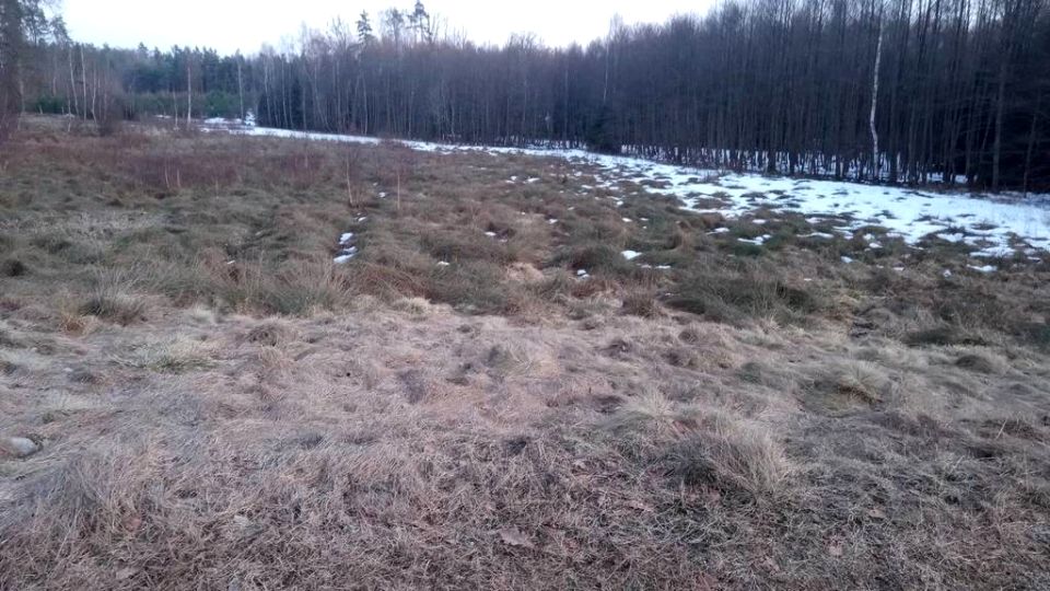 Działka budowlana Dziechno