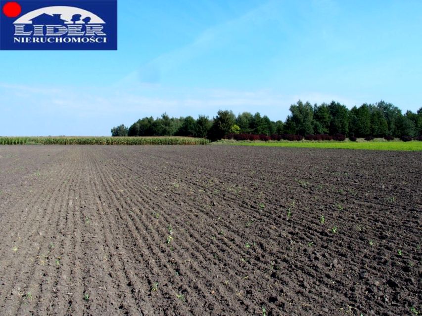 Działka budowlana Ceradz Dolny